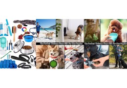 Managing Seasonal Demand in Pet Product Supply Chains