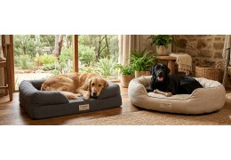 Eco-Friendly Chew Resistant Dog Beds for Sustainable Pets